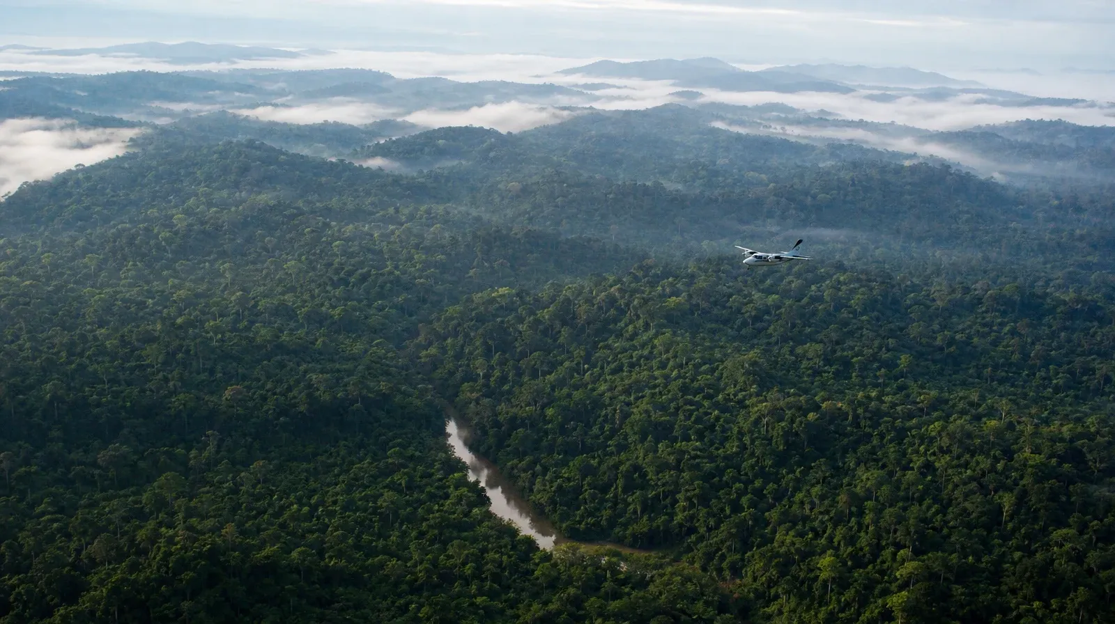 Vista aérea del dosel de la selva amazónica peruana con neblina baja entre las lomas